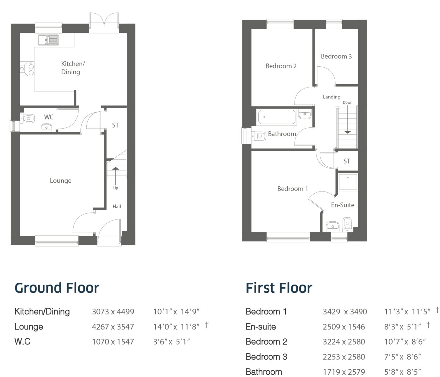 Roosevelt Floorplan (Woodlands)